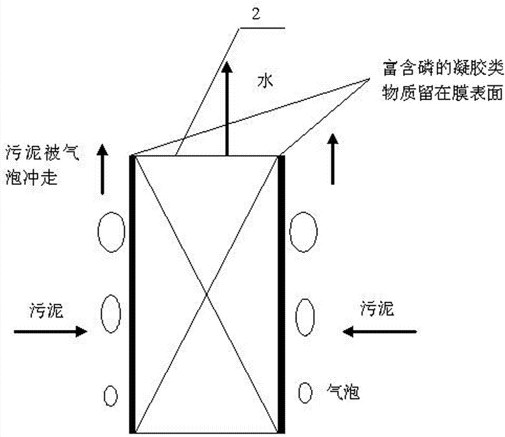 Method and device for enhancing biological phosphorus removal