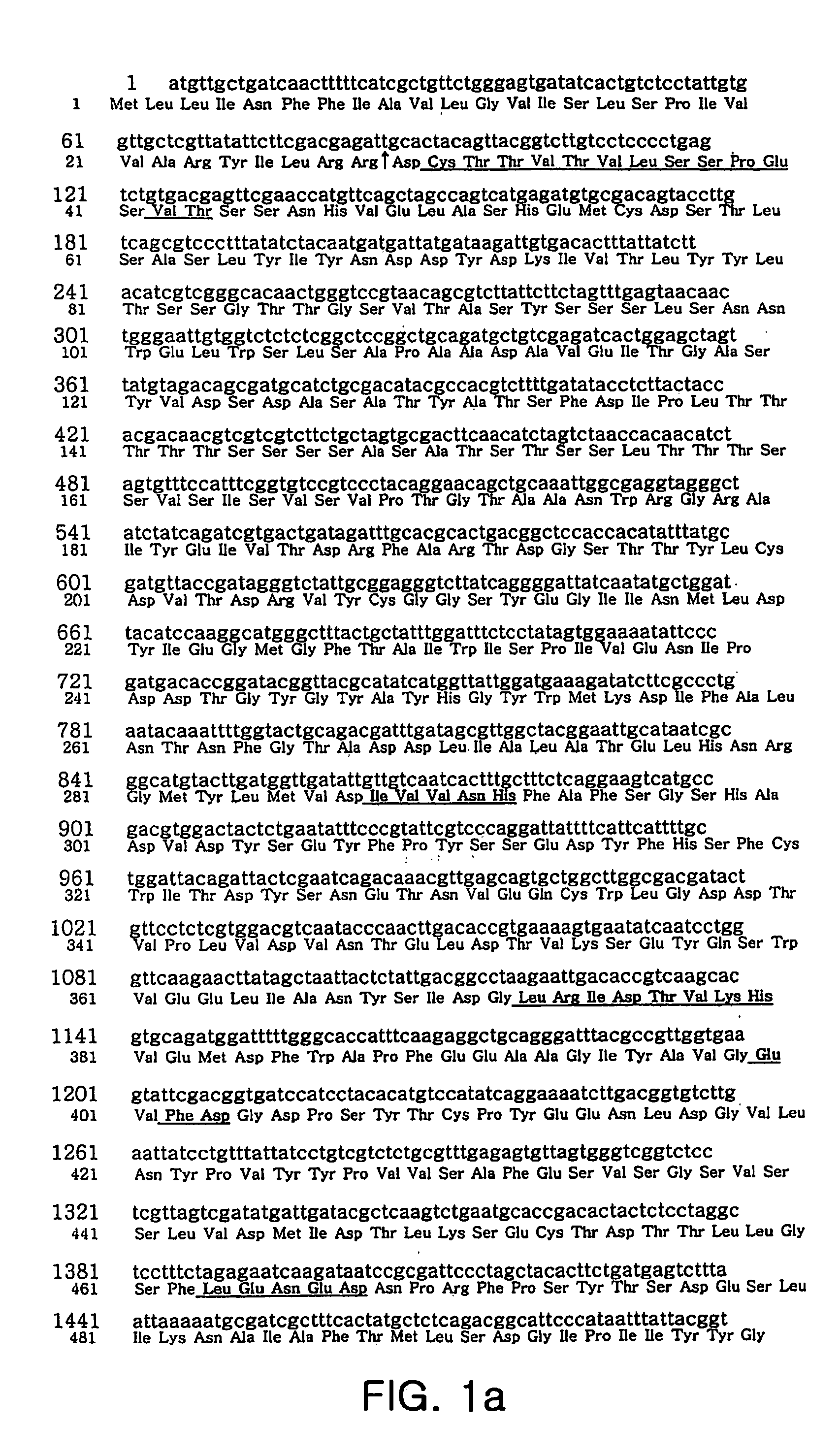 Protein with activity of hydrolyzing amylopectin, starch, glycogen and amylose, gene encoding the same, cell expressing the same, and production method thereof