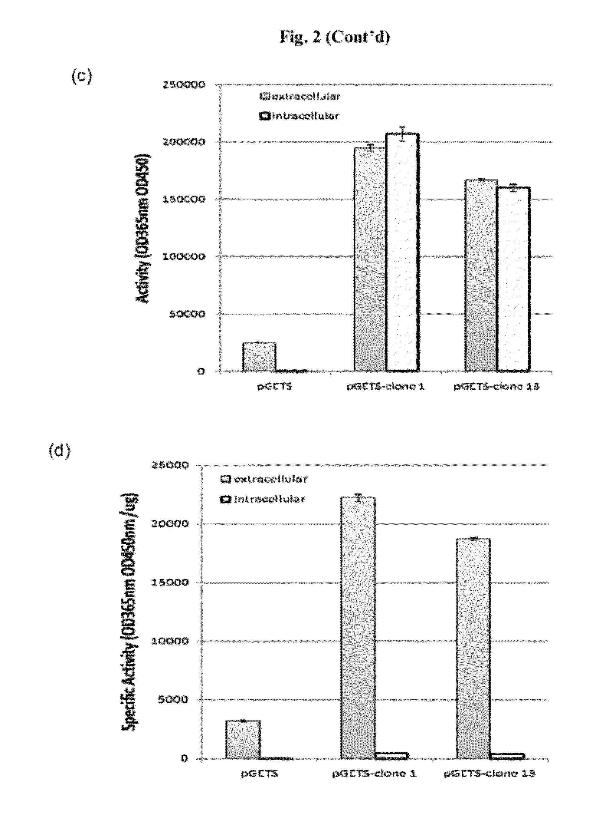 Expression System for Producing Multi-Enzyme Complexes and Uses Thereof
