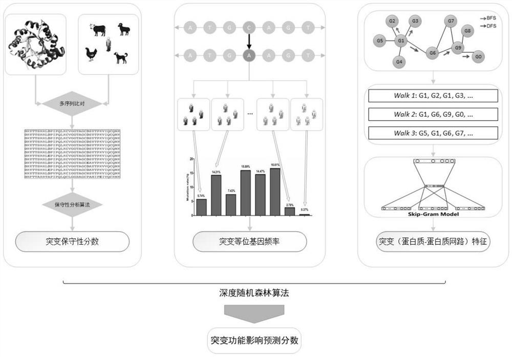 A method for predicting the functional impact of somatic mutations in cancer