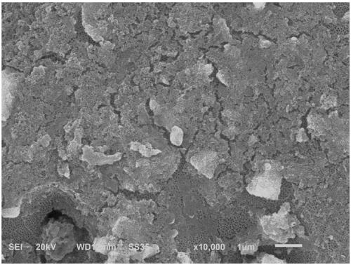 Drug-loaded structure of titanium metal surface pH controlled-release drug and preparation method of drug-loaded structure
