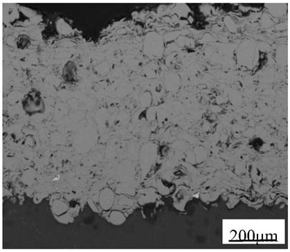 Preparation method of magnesium alloy surface anticorrosive coating