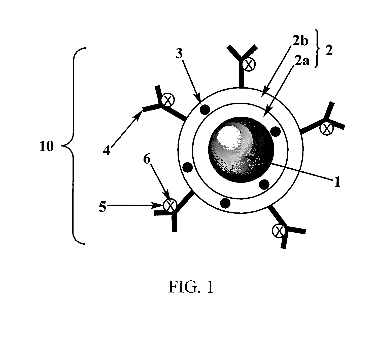 Multifunctional nanoparticles and compositions and methods of use thereof