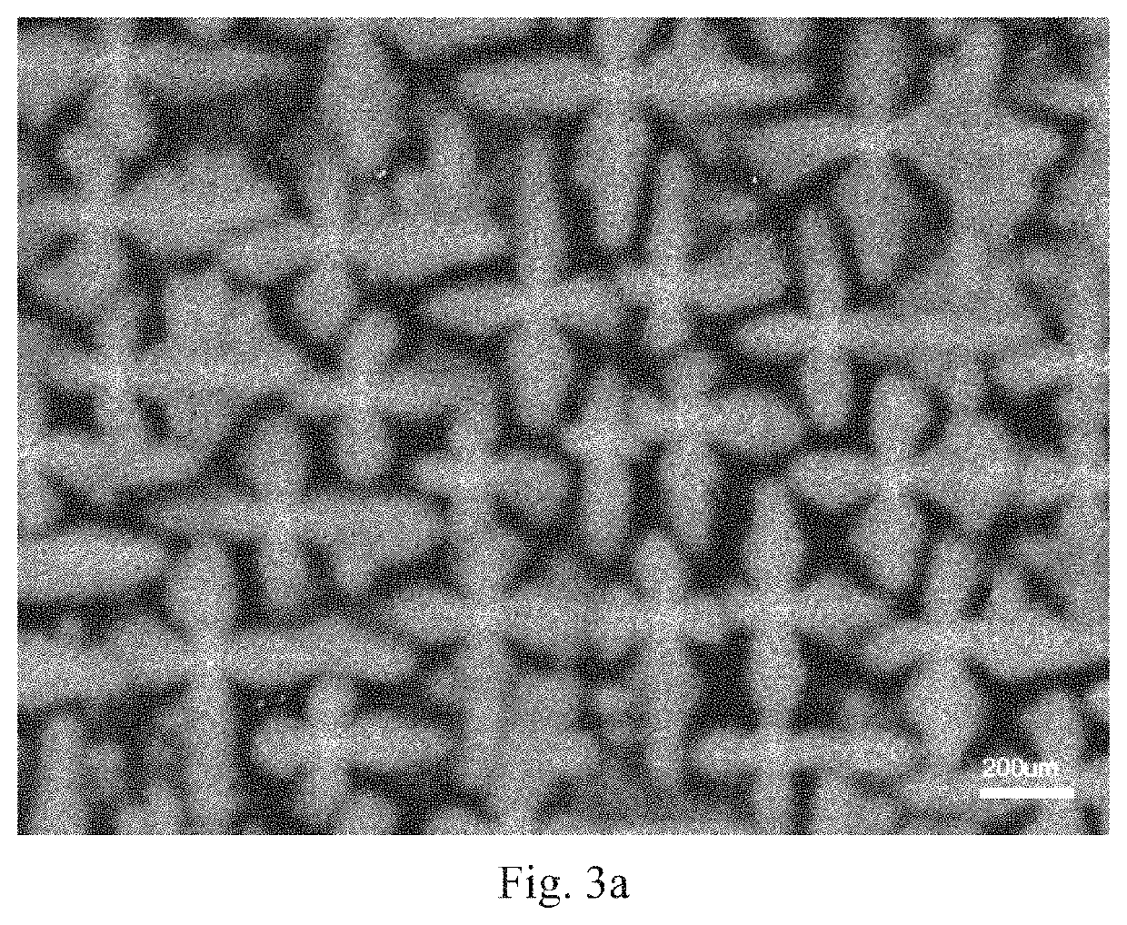 Method for automatic quantitative statistical distribution characterization of dendrite structures in a full view field of metal materials