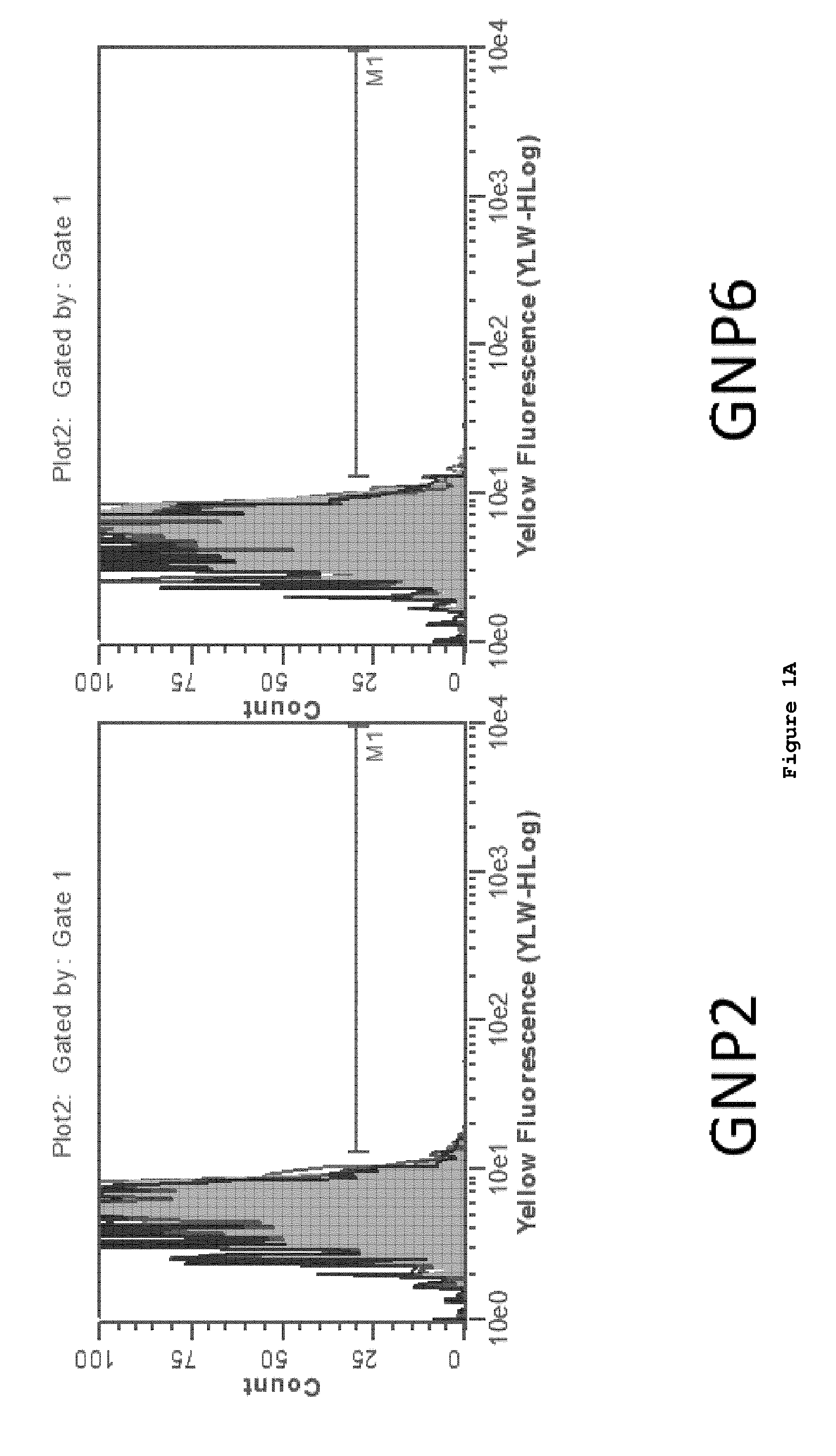 Nanoparticle tumour vaccines