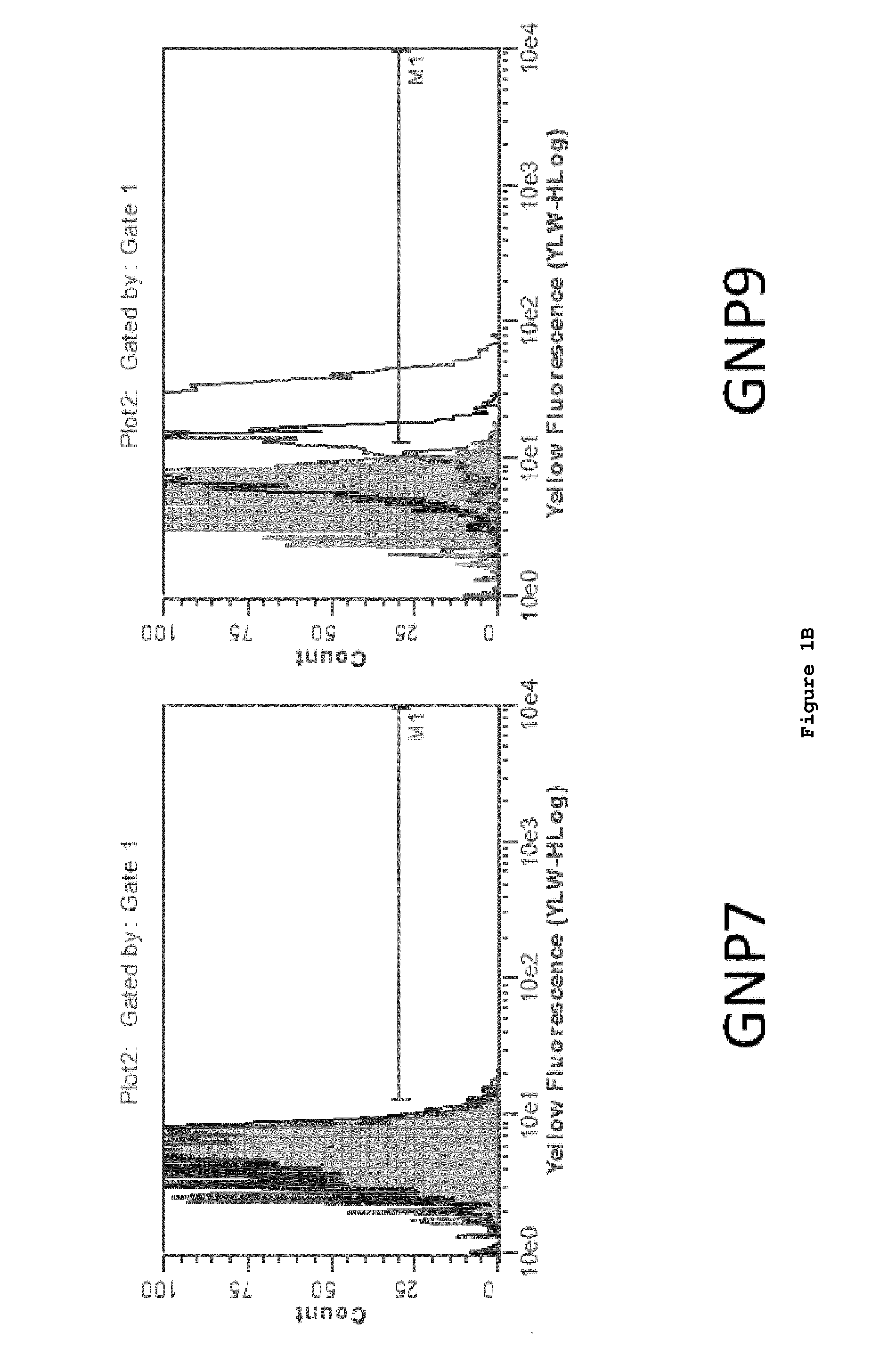 Nanoparticle tumour vaccines