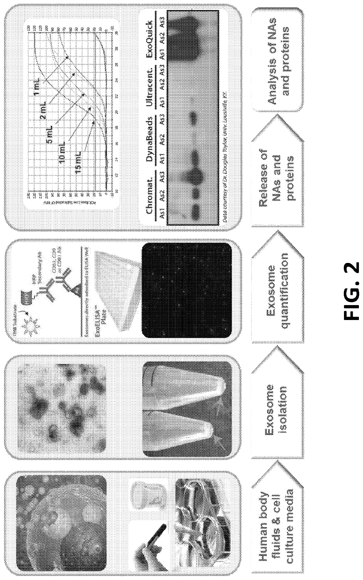 Exosome-Total-Isolation-Chip (ExoTIC) device for isolation of exosome-based biomarkers