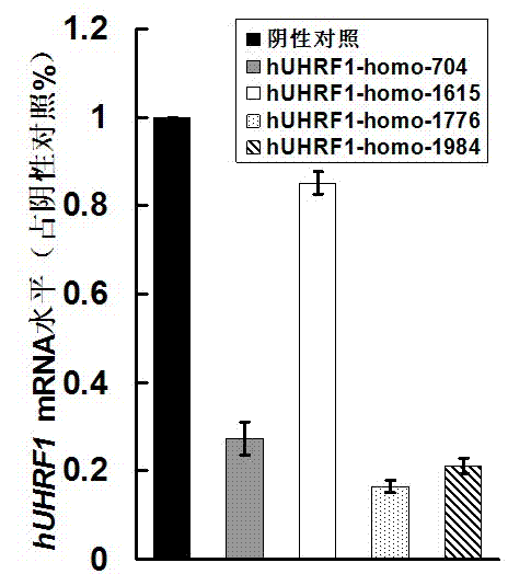 Recombinant lentiviral vector aiming at hUHRF1 gene RNA (Ribonucleic Acid) interference and preparation thereof
