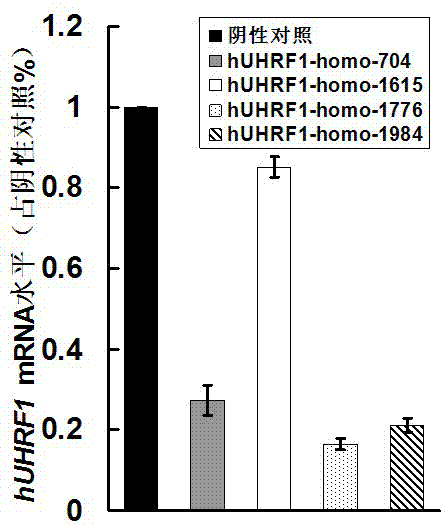 Recombinant lentiviral vector aiming at hUHRF1 gene RNA (Ribonucleic Acid) interference and preparation thereof