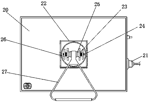 Visual viewer with dual optical paths