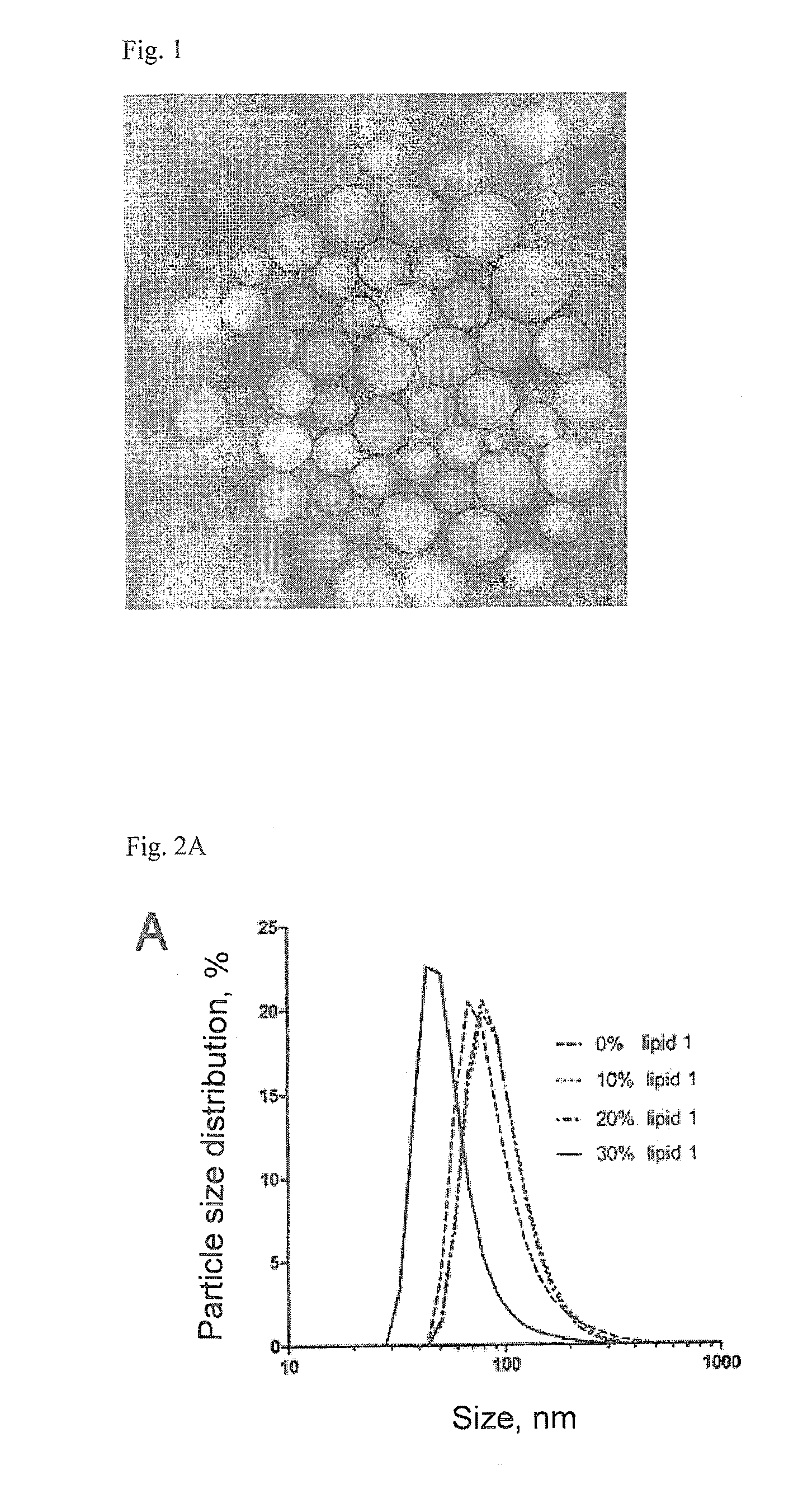 Lipopolyamines of spermine type for construction of liposomal transfection systems