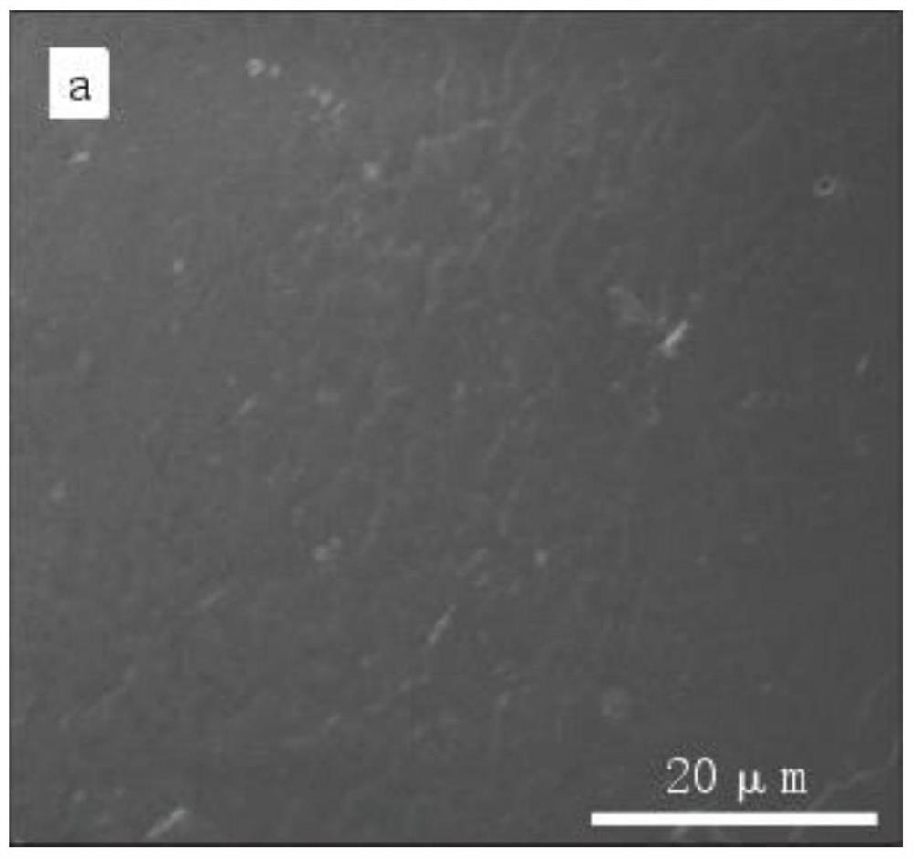 Preparation method of graphene modified polyurethane composite material