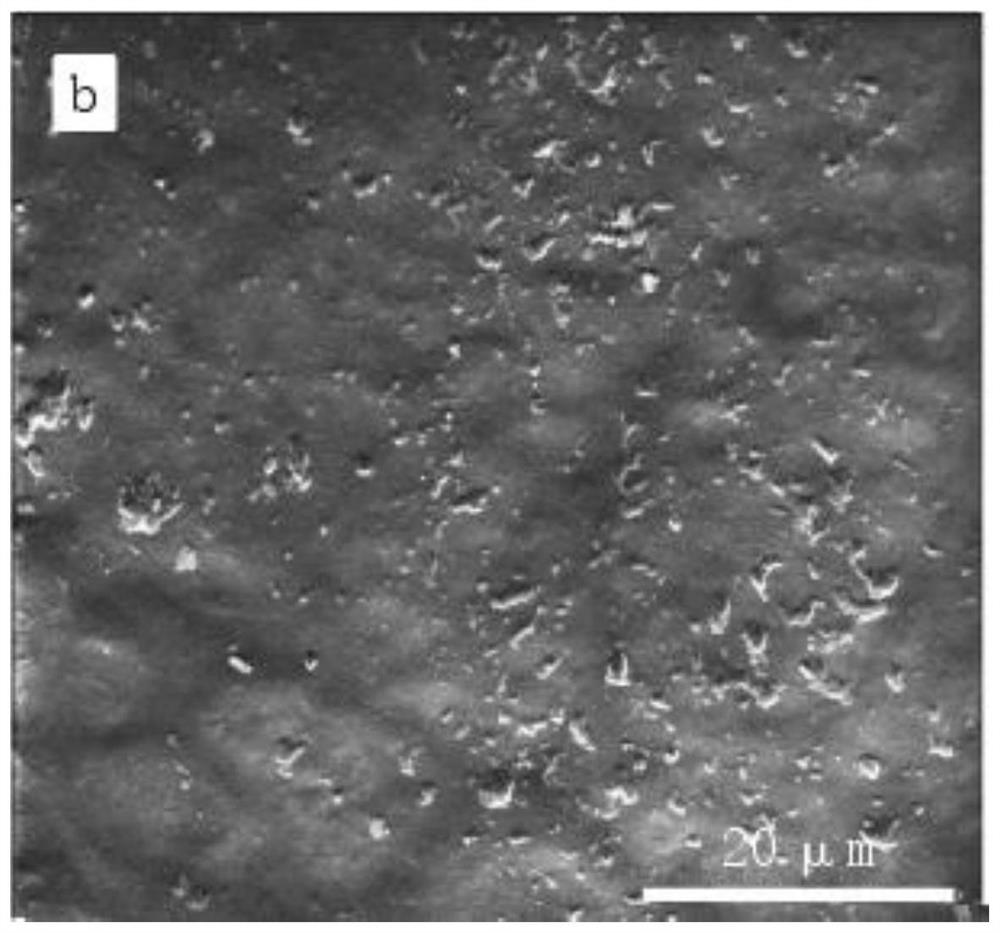 Preparation method of graphene modified polyurethane composite material