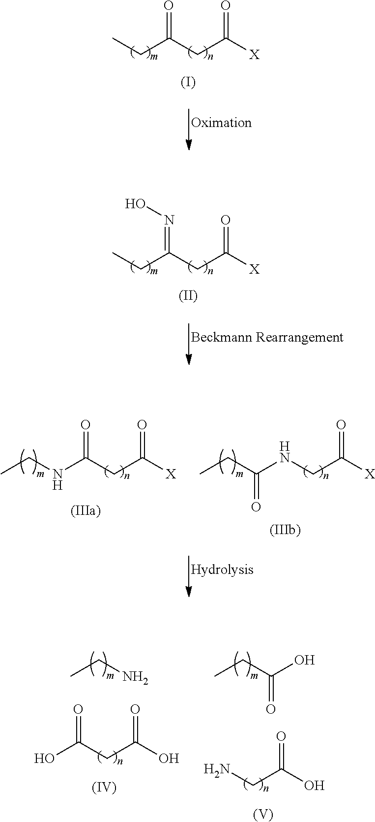 Process for the co-production of long chain amino acids and dibasic acids