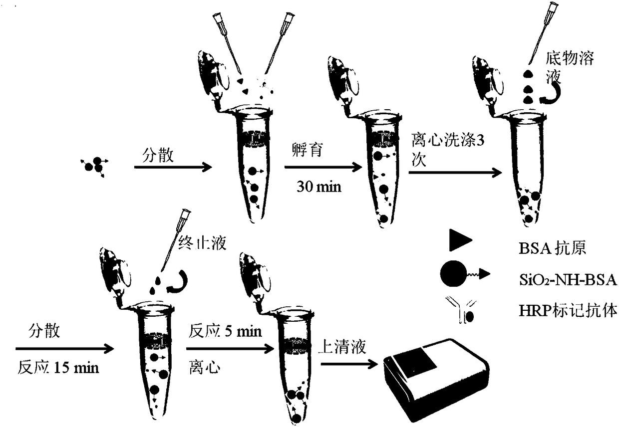 A bovine serum albumin detection probe and its preparation method and application