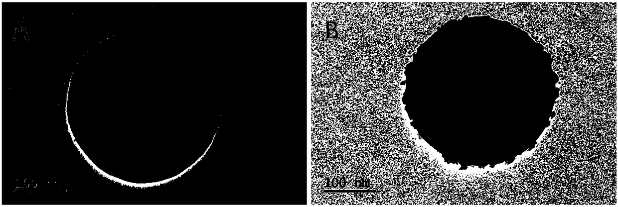 A bovine serum albumin detection probe and its preparation method and application