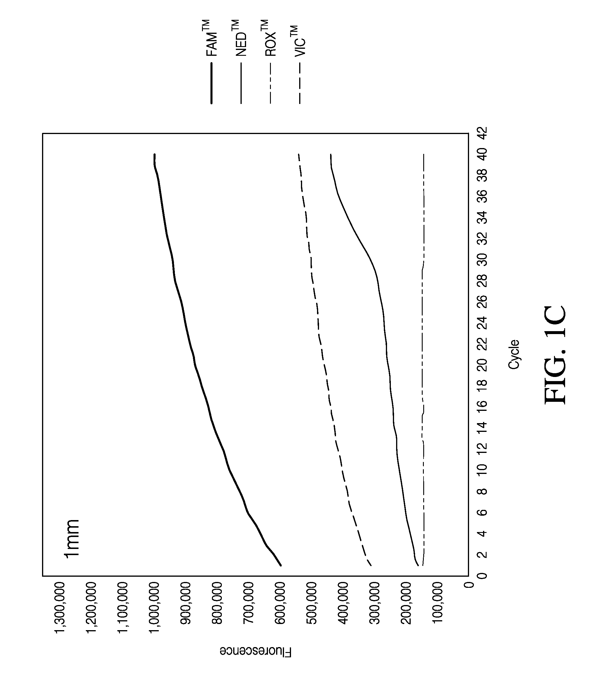 Direct Quantitative PCR Absent Minor Groove Binders