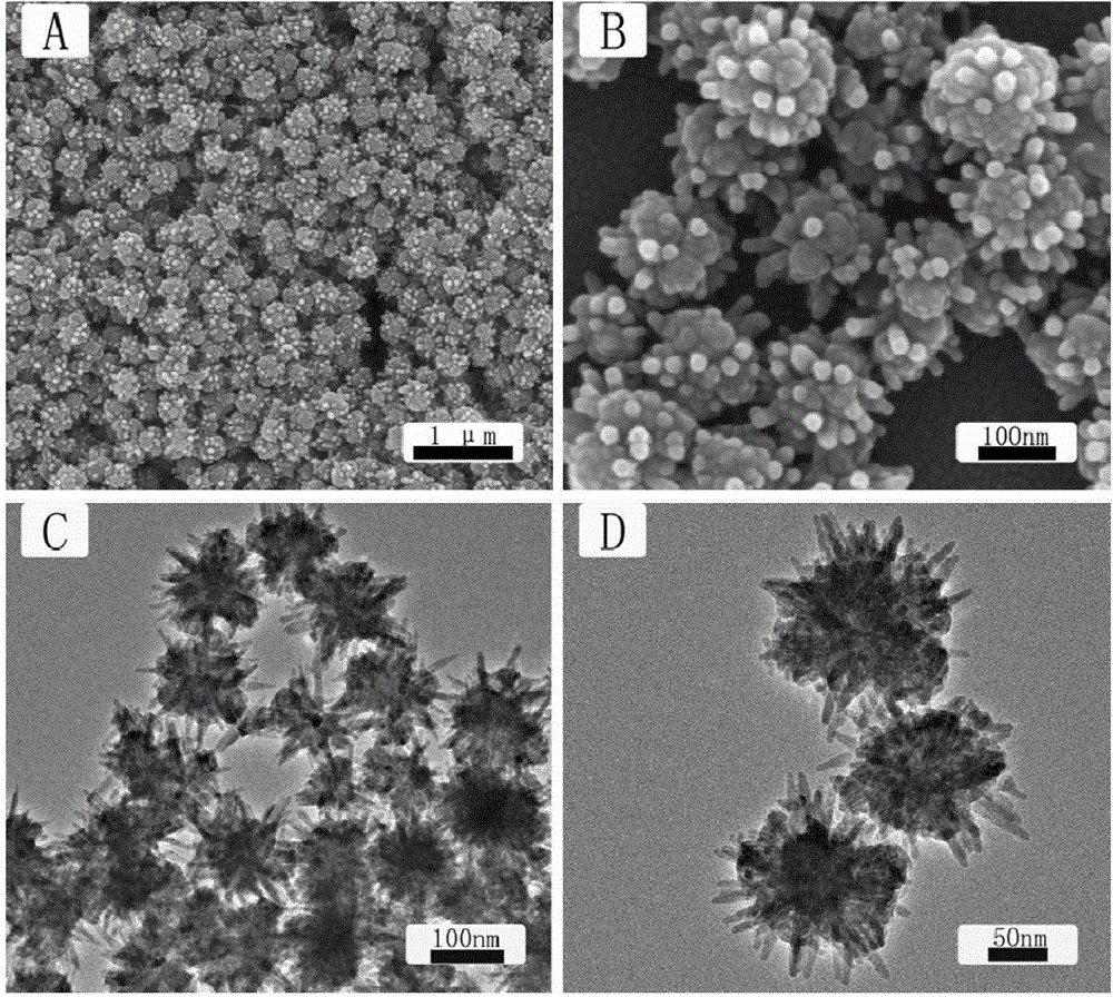 Preparation method of sea urchin-shaped cadmium sulfide nanospheres