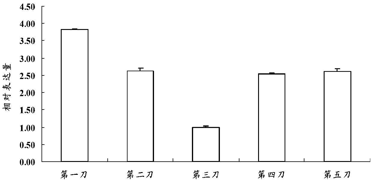 Phosphofructokinase and application of coding gene thereof