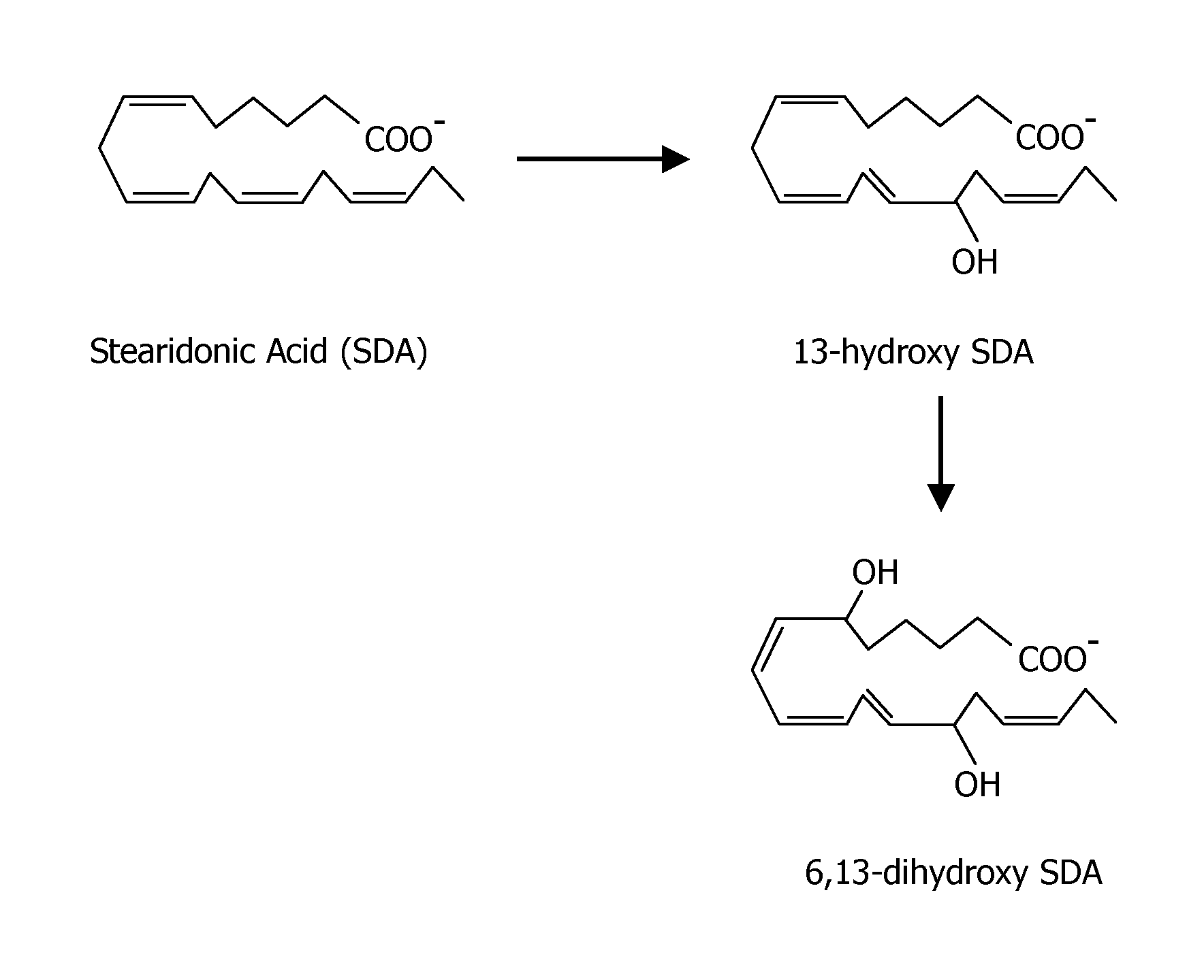 Oxylipins from stearidonic acid and gamma-linolenic acid and methods of making and using the same