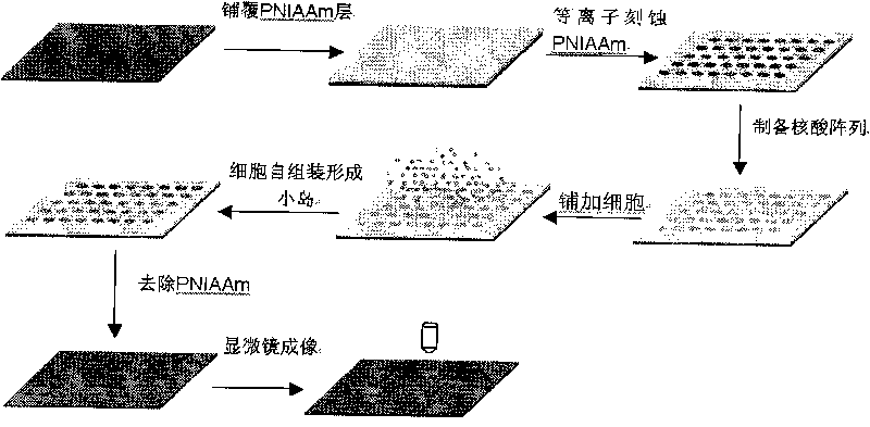 Nucleic acid chip, preparation method and application thereof