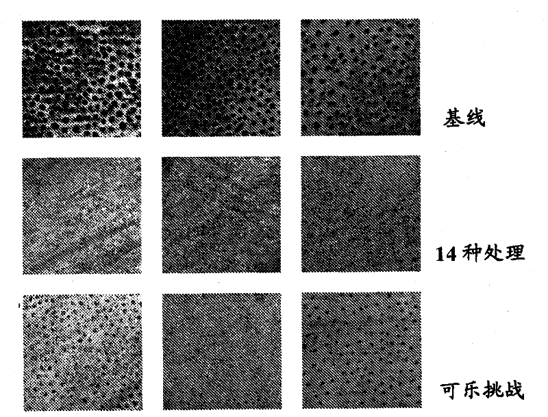 Oral care compositions for reducing or eliminating tooth sensitivity