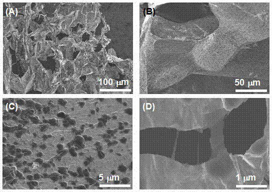 Hydrophilic graphene-carbon nano-tube composite super-light elastic aerogel and preparation method thereof