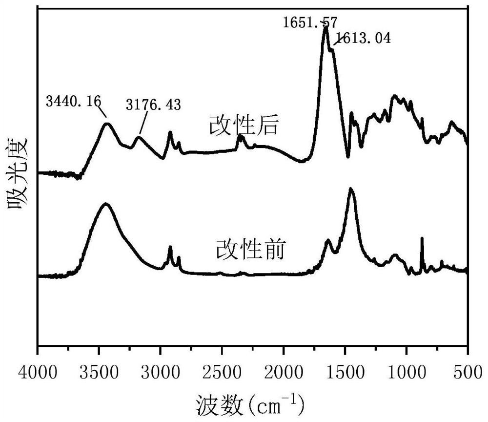 Hydrophilic waste rubber powder, high-strength composite hydrogel as well as preparation method and application thereof