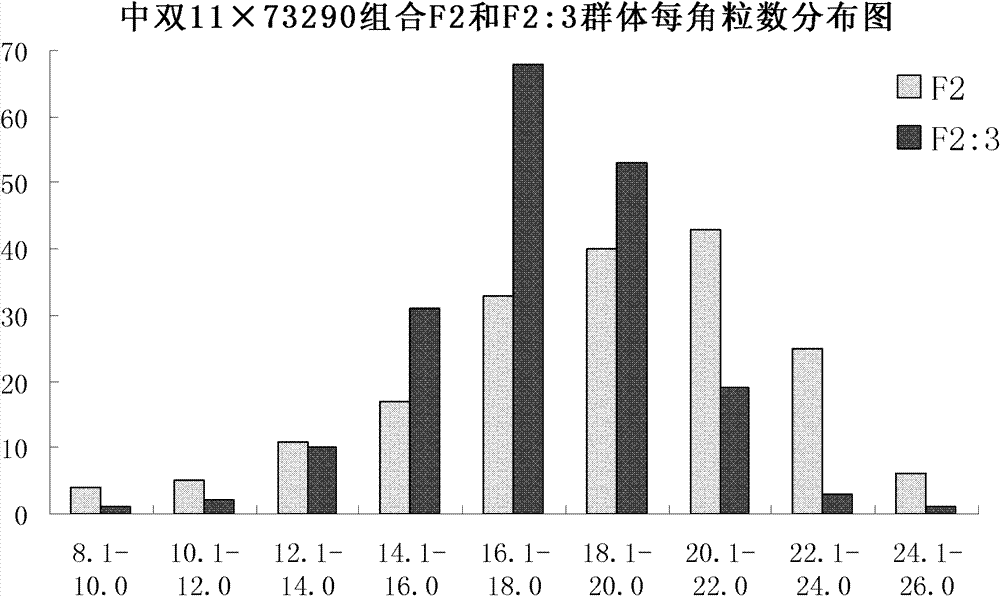 Seed number per pod character major gene site of rape and application thereof
