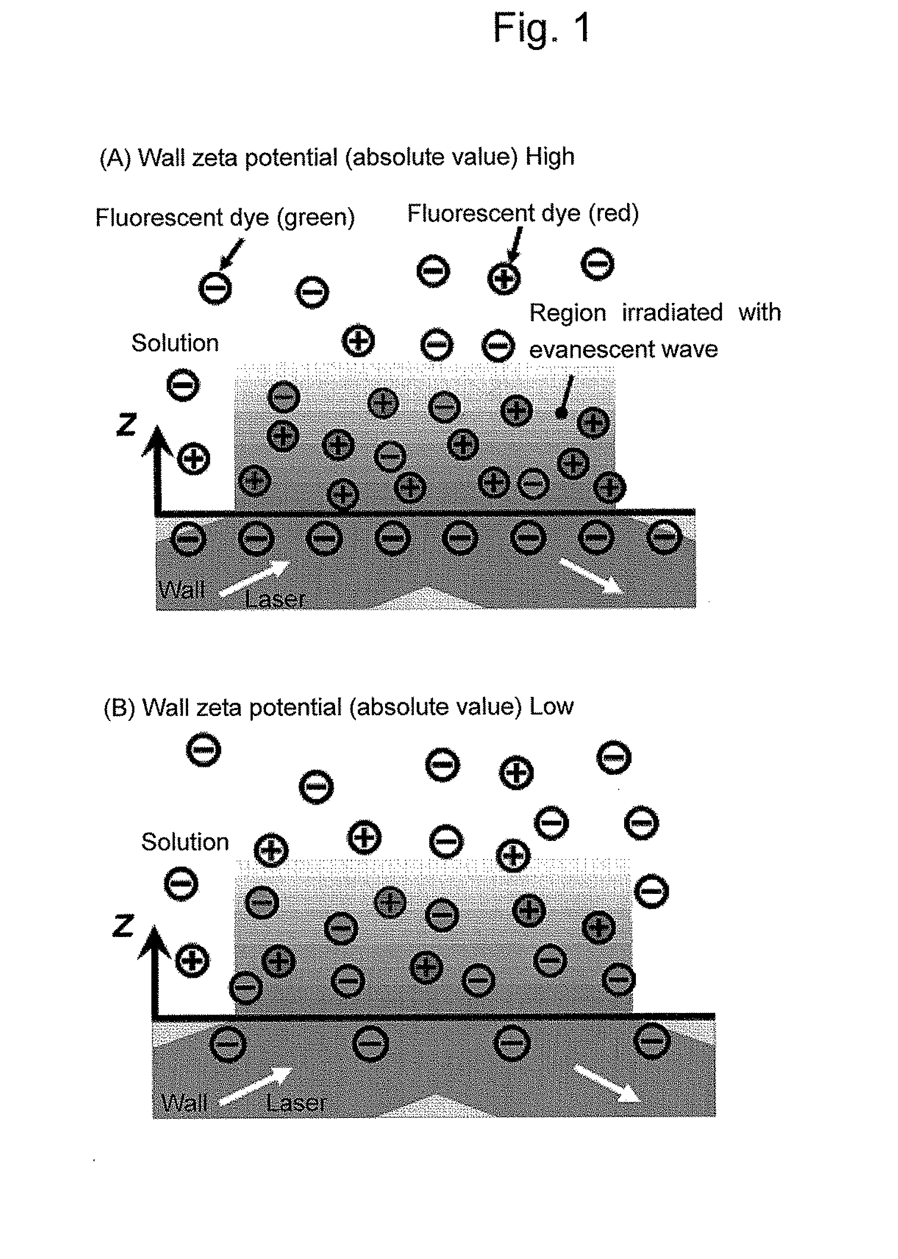 Method and apparatus for quantitative evaluation of wall zeta-potential, and method and apparatus for quantitative visualization of surface modification pattern