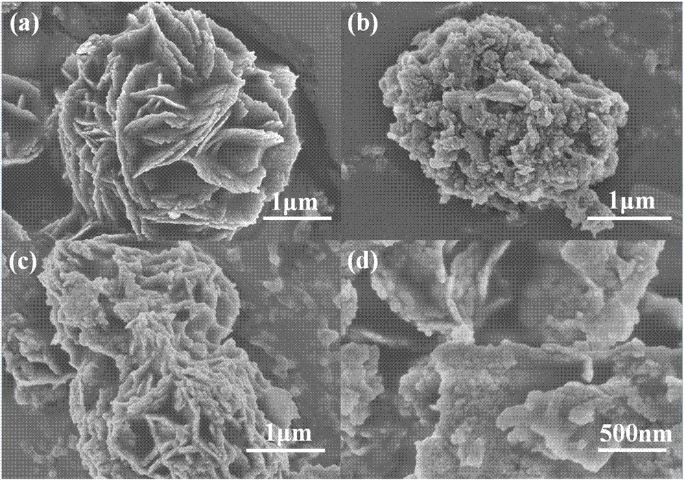Bismuth tungstate/carbon nitride composite photo-catalyst and preparation method and application thereof