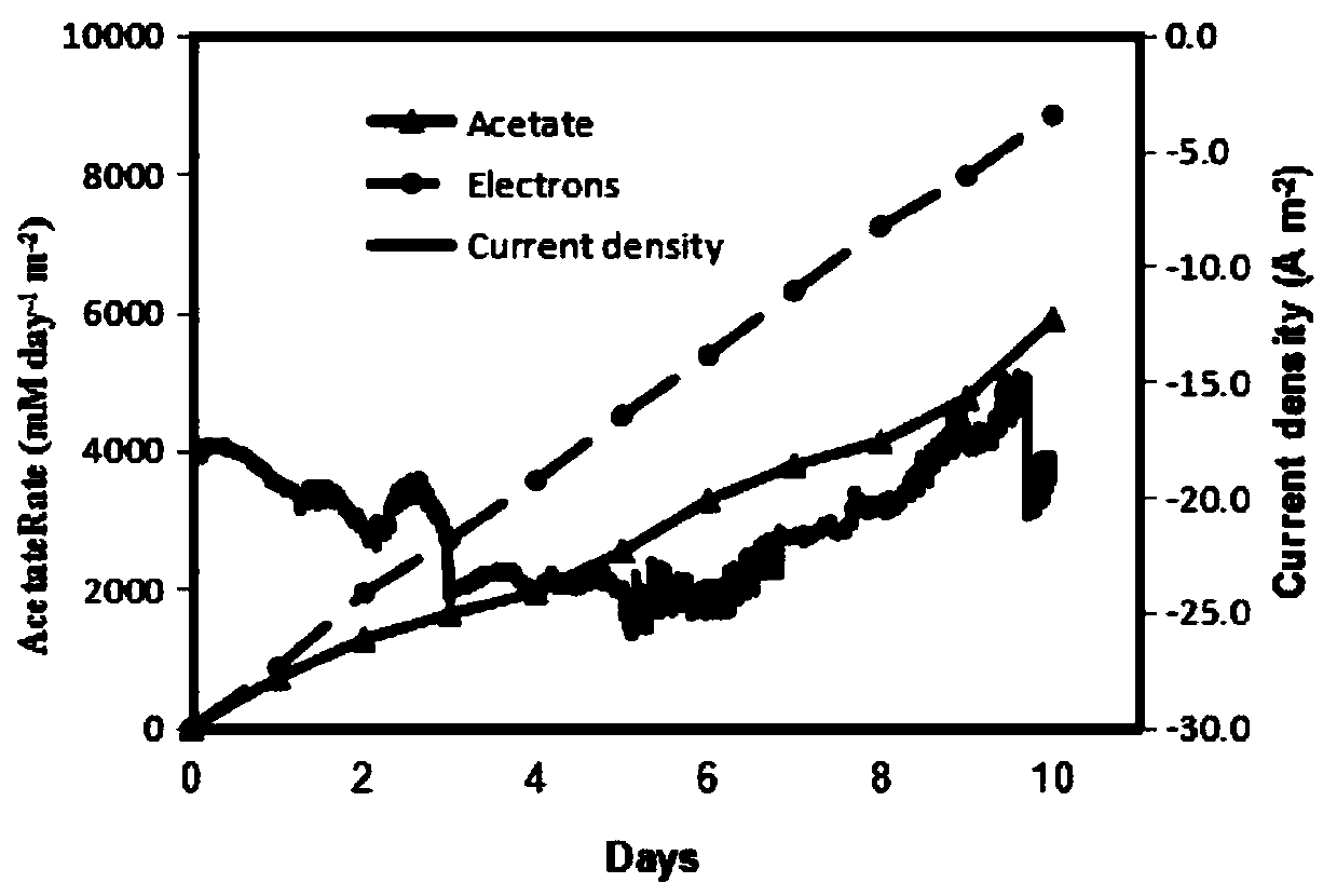 A graphene-copper foam composite cathode to improve bioreduction of CO  <sub>2</sub> Method for electrosynthesis of acetic acid