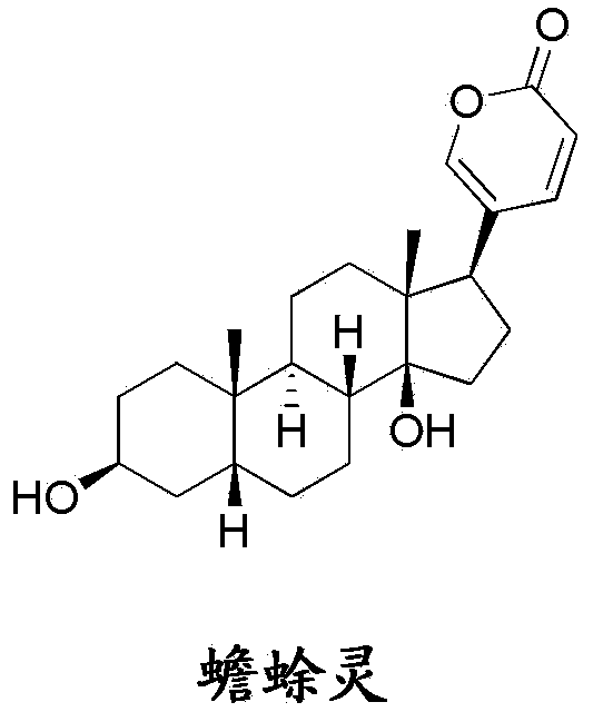 Bufalin derivatives, pharmaceutical compositions and methods thereof