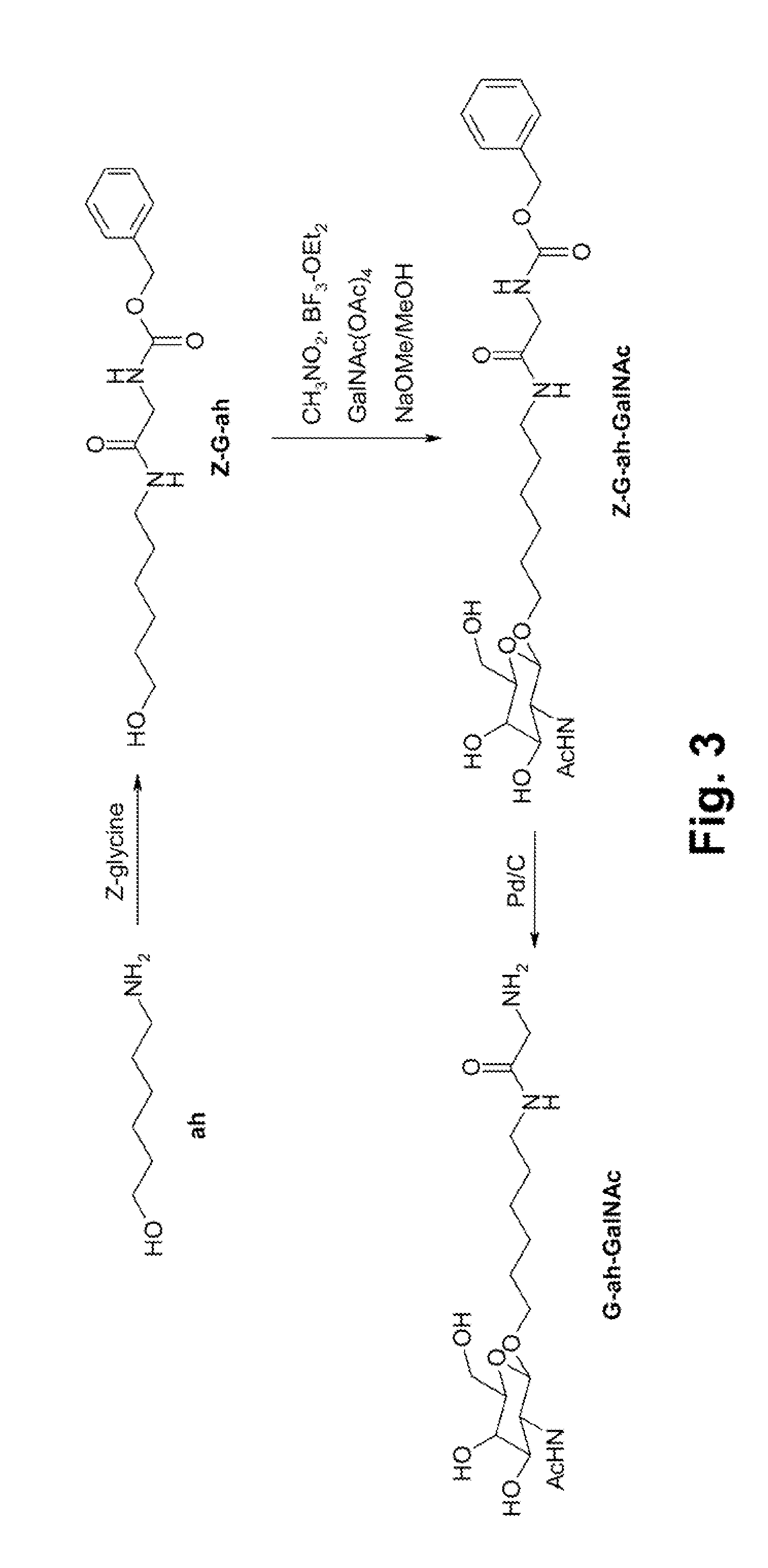 Method for preparing precursor used for labeling hepatocyte receptor and containing trisaccharide and DTPA ligand