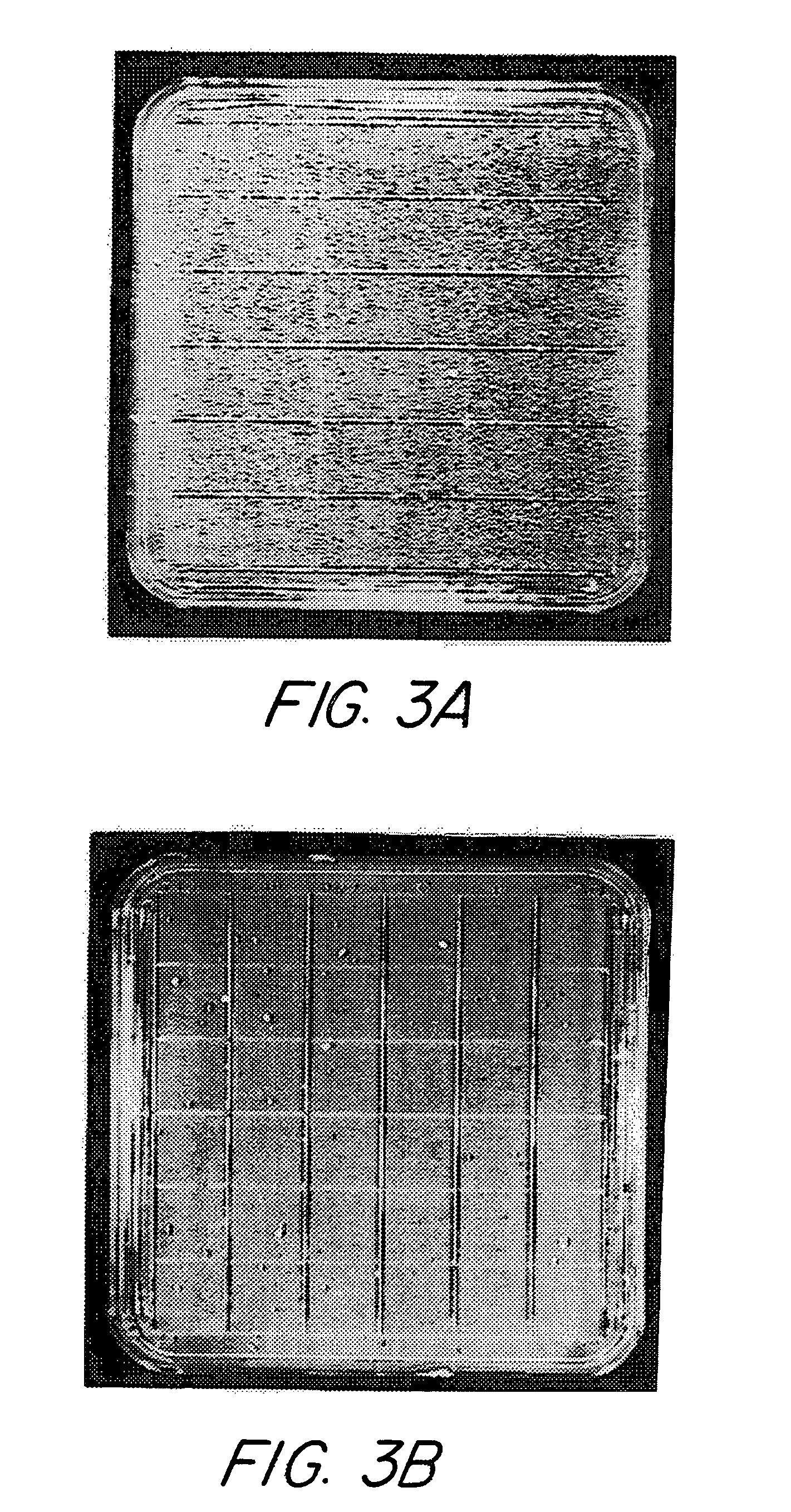 Method for improving the function of heterologous G protein-coupled receptors