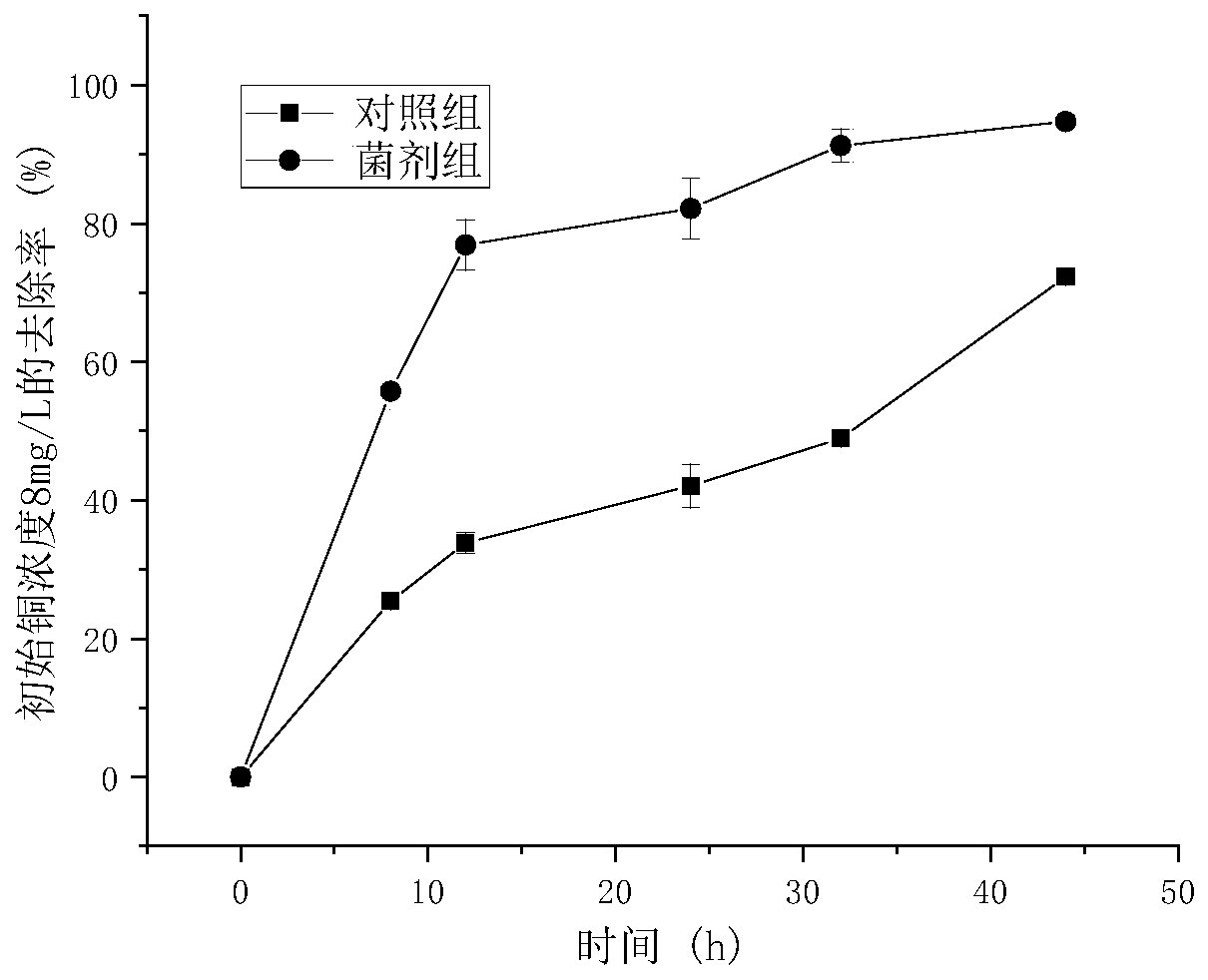 Dry powder bacterial agent for removing low-concentration copper ions in wastewater