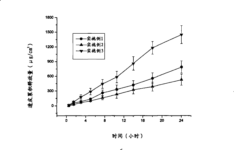 Ibuprofen percutaneous release patch and preparation method thereof