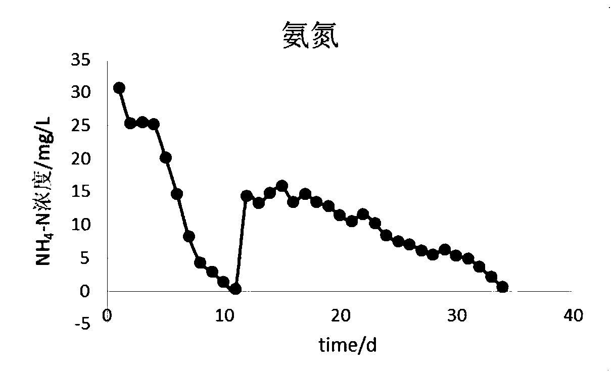 A total submerged sewage treatment method for simultaneous denitrification and phosphorus removal