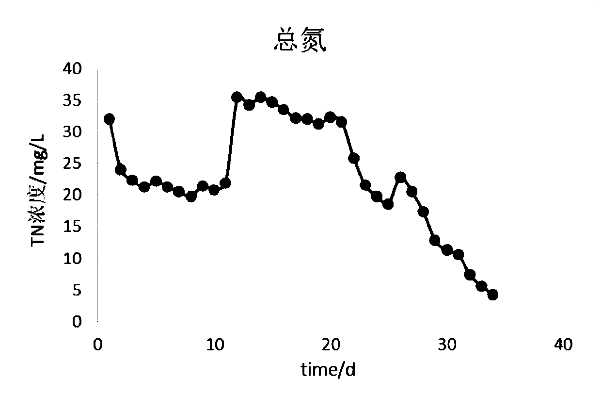 A total submerged sewage treatment method for simultaneous denitrification and phosphorus removal