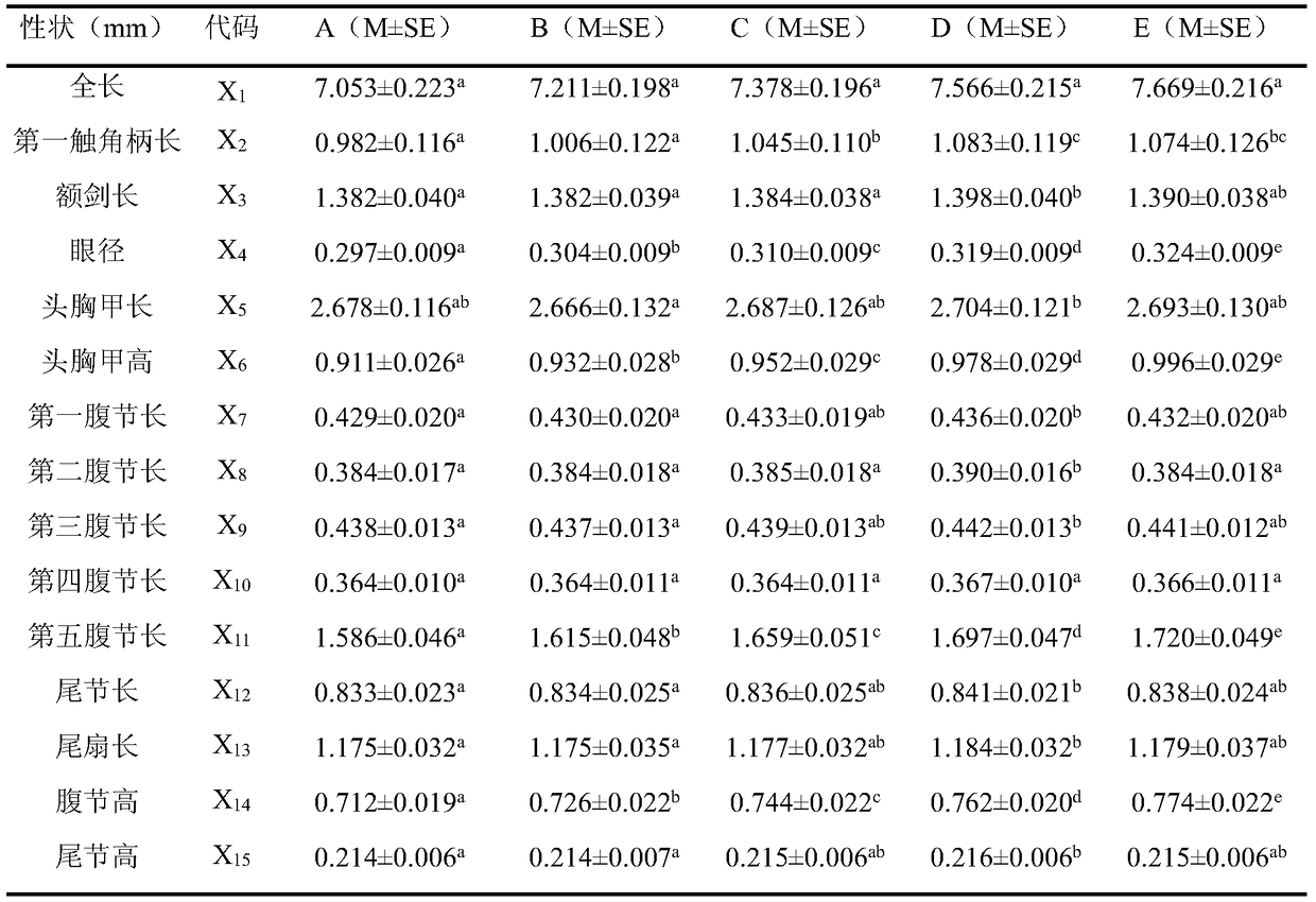 Classification and optimization method of ammonium-nitrogen tolerance performance of Penaeus japonicus seedlings