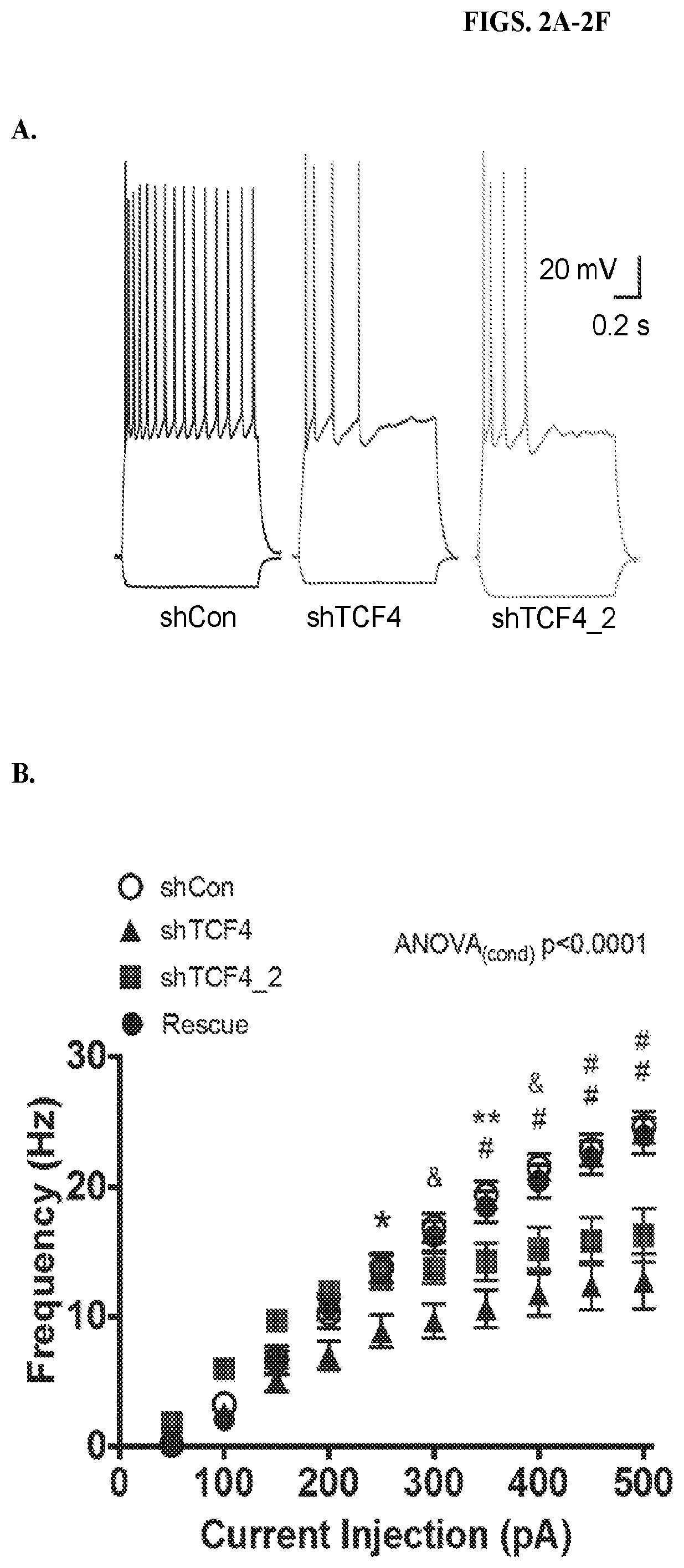 Treatment of neurological and neurodevelopmental diseases and disorders associated with aberrant ion channel expression and activity