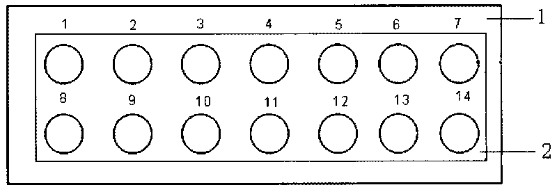 Fast cultivation and identification method of high throughput virus and applications thereof