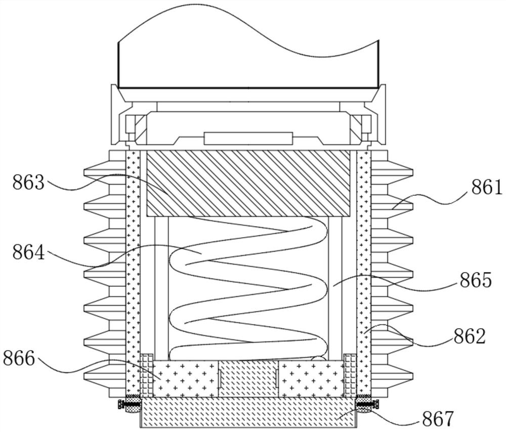 Manufacturing device of schistosome egg detection filter membrane