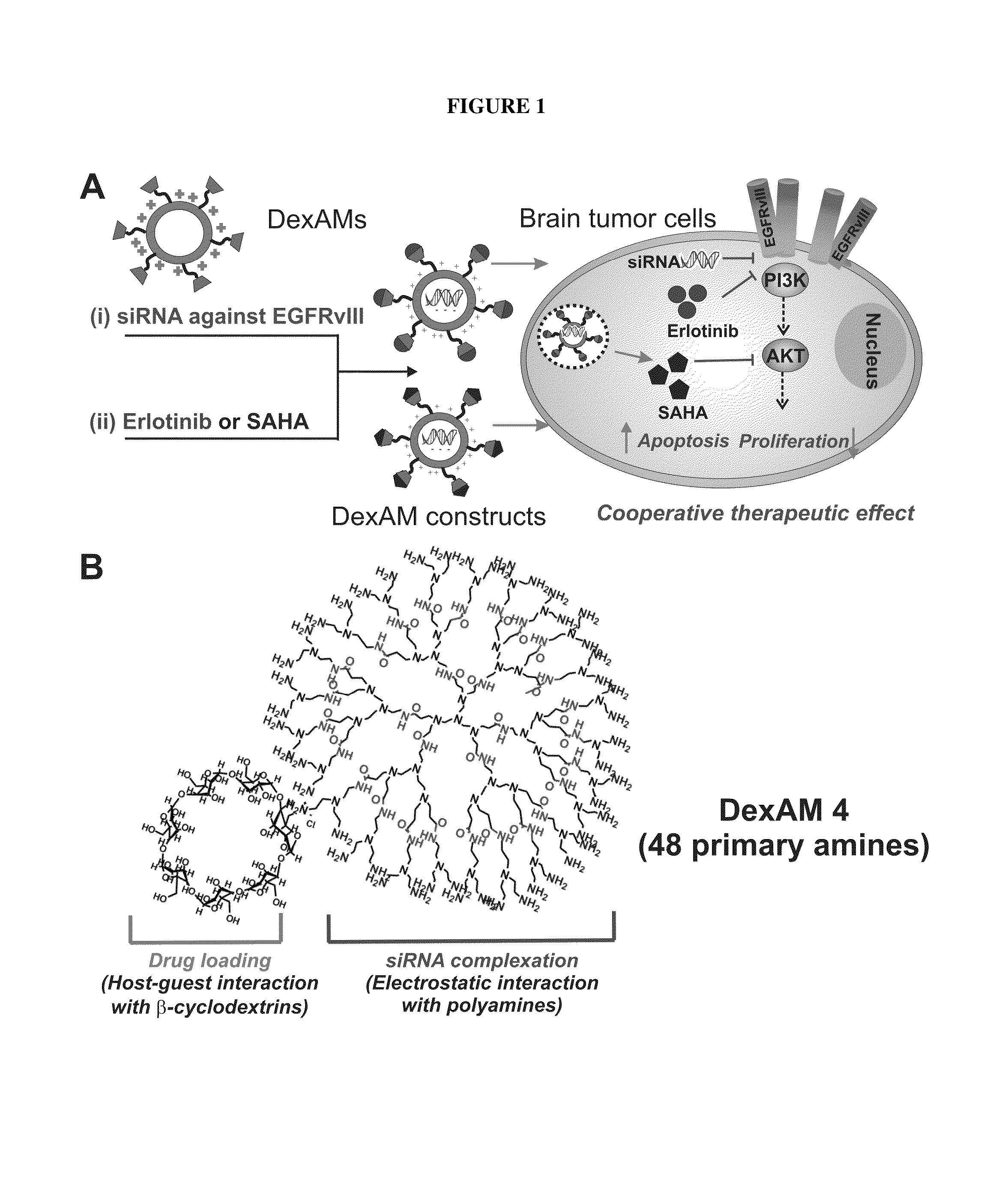 Cyclodextrin-modified polyamines for delivery of therapeutic molecules