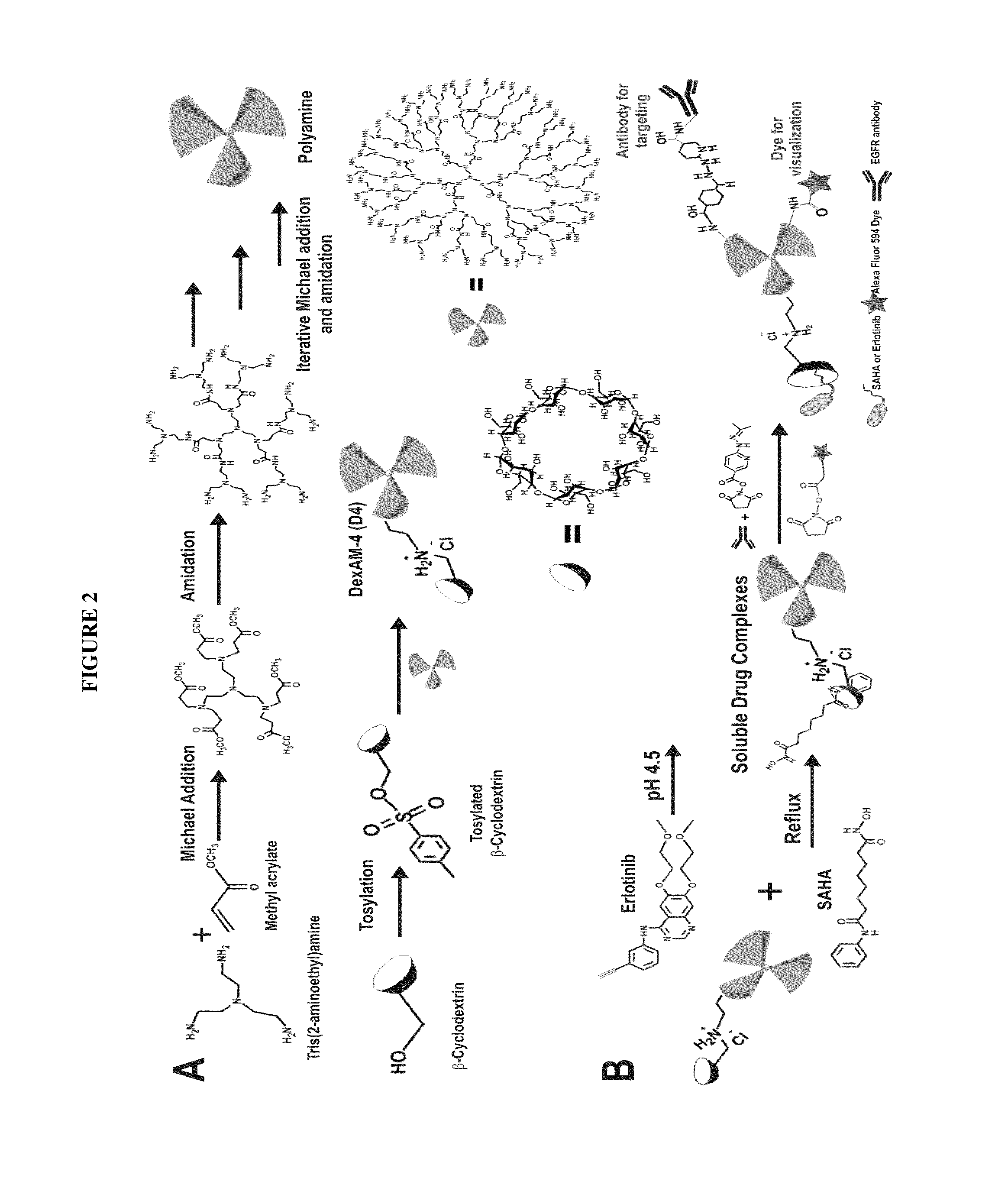 Cyclodextrin-modified polyamines for delivery of therapeutic molecules