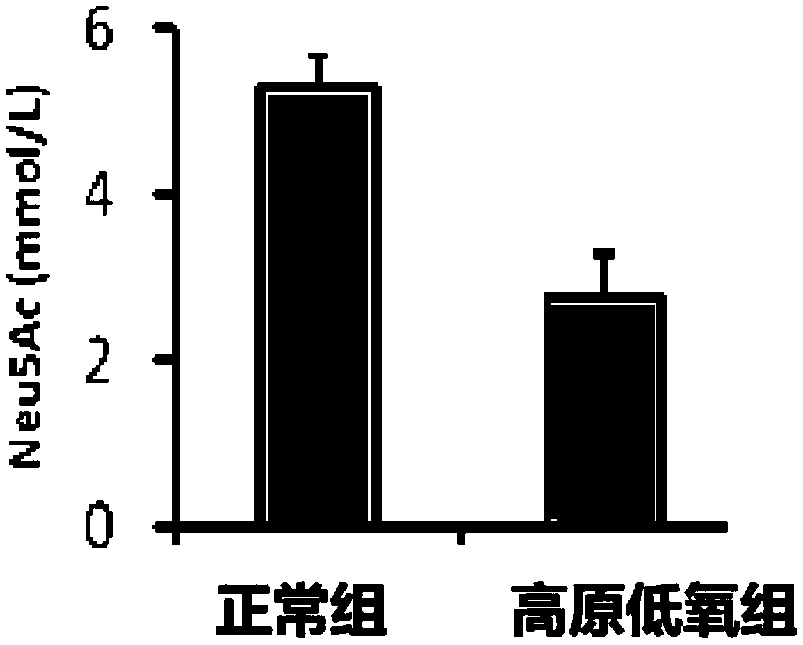 Biomarker for detecting high altitude hypoxia and application thereof