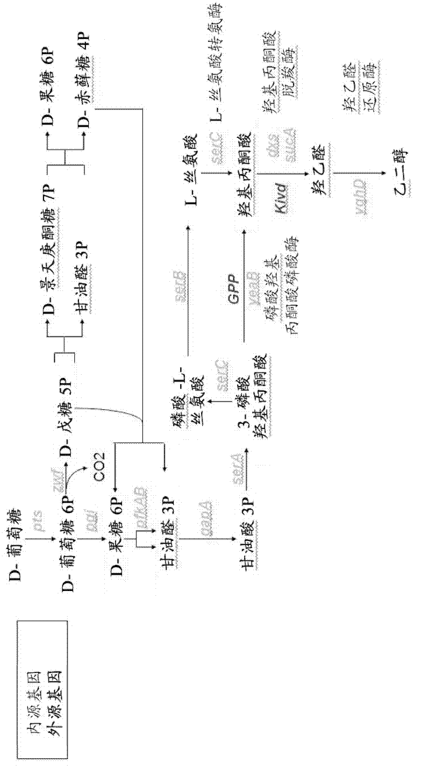 Method for the preparation of diols