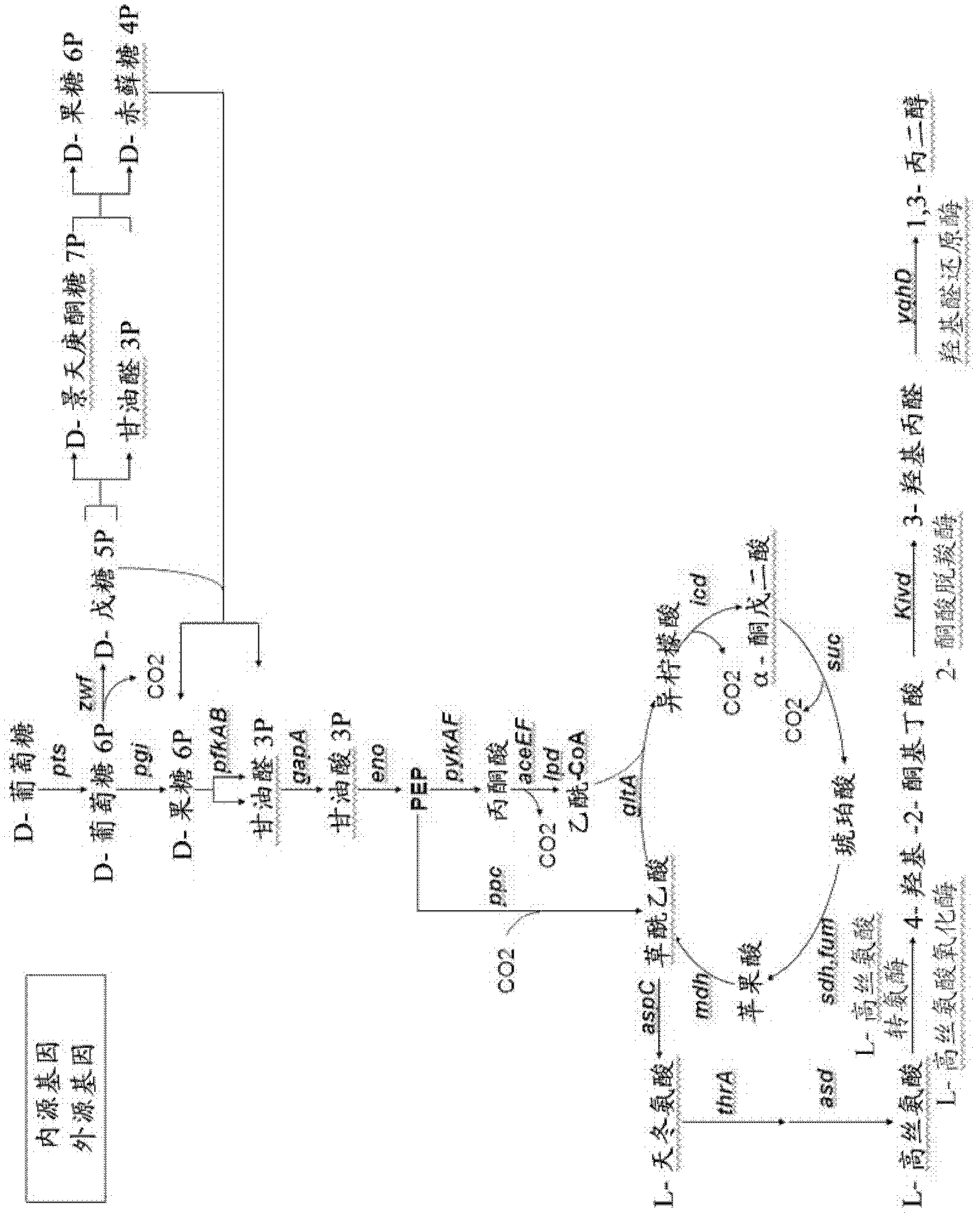 Method for the preparation of diols