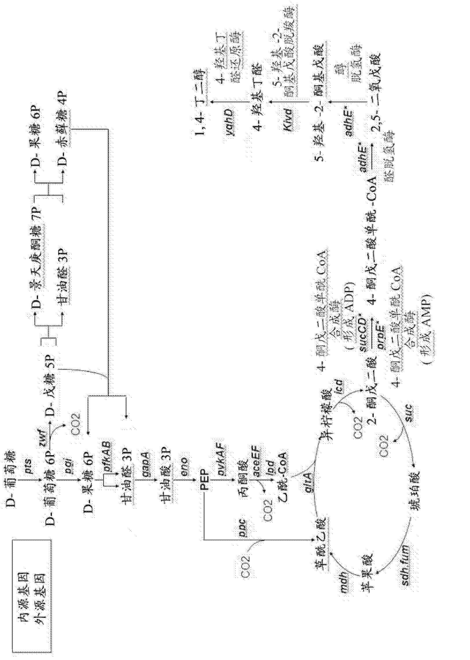 Method for the preparation of diols