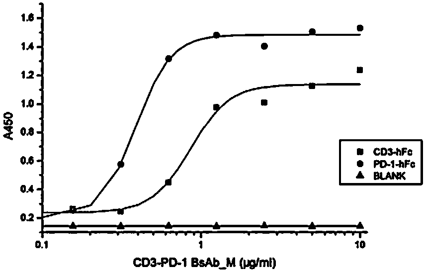 Bifunctional molecule combining CD3 and T-cell negative costimulatory molecules and application of bifunctional molecule